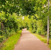 While you were driving